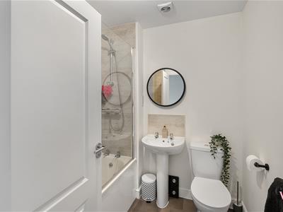Picture 13